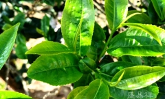 ϸ˵ٲ:ն֮ٲײ