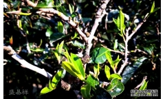 �������ն�����һ�����ֵ�����ļ���ֵ���ղأ�