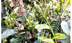 ��ũ���Ȳ����ղ裡��Ҷ�����ˣ�Ҳû�����ղ���ϰ壡